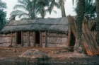 Marsh Arab dwelling built of reeds, Al Chabaish, Iraq